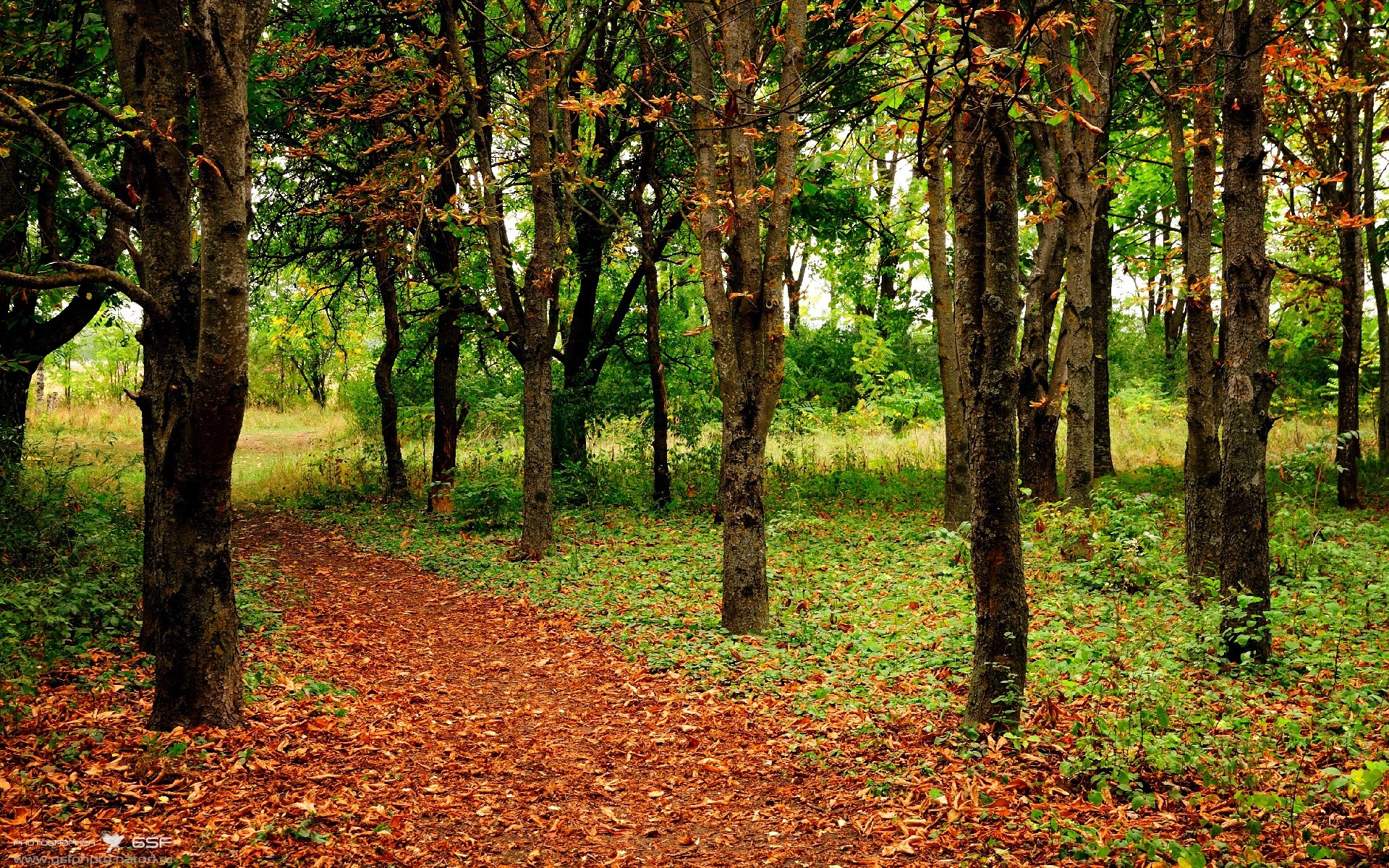 NBA纪录追逐:本赛季谁有望打破最多纪录?,nba各大记录