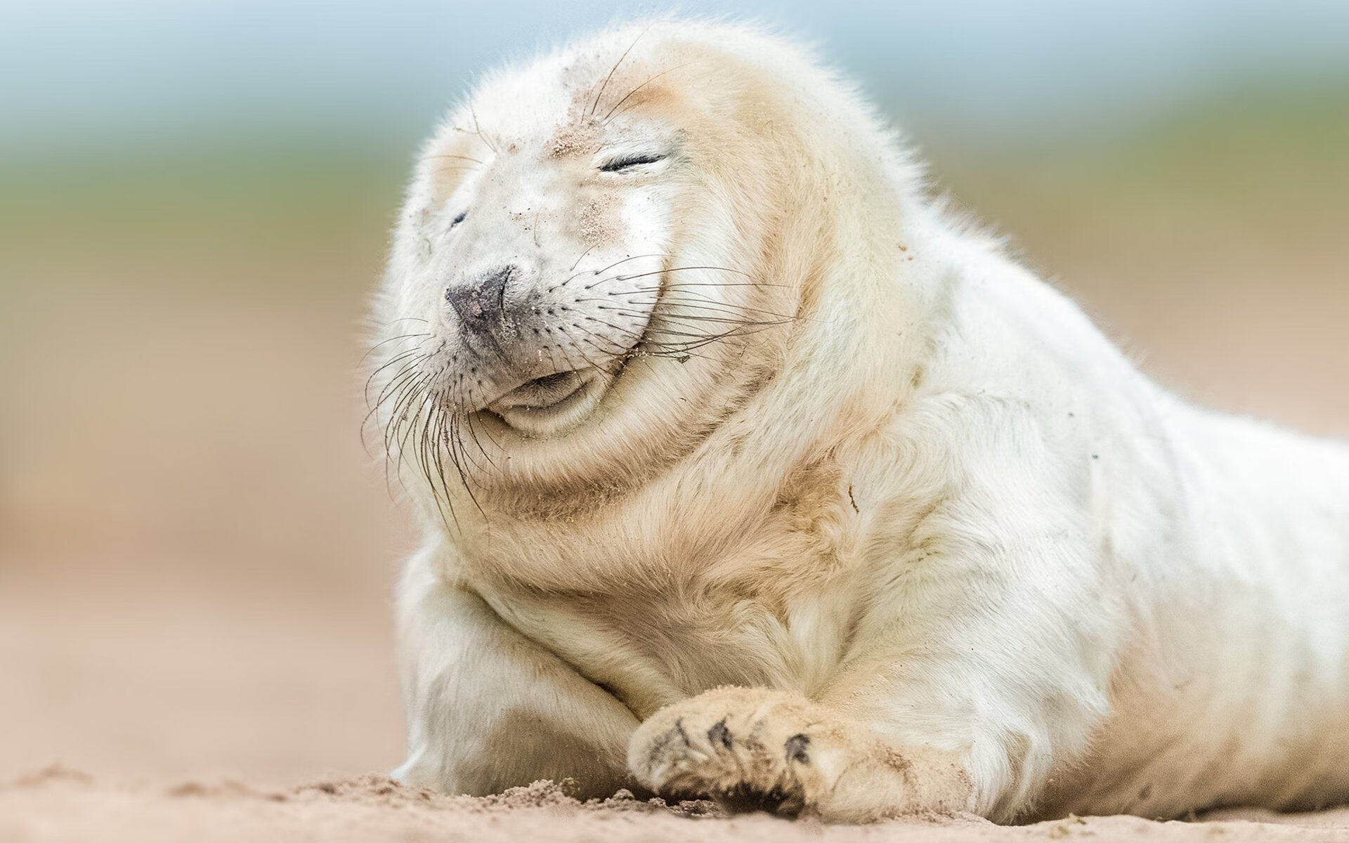 NBA纪律委员会再次加强裁判判罚，公平争议引发关注，nba各项纪律