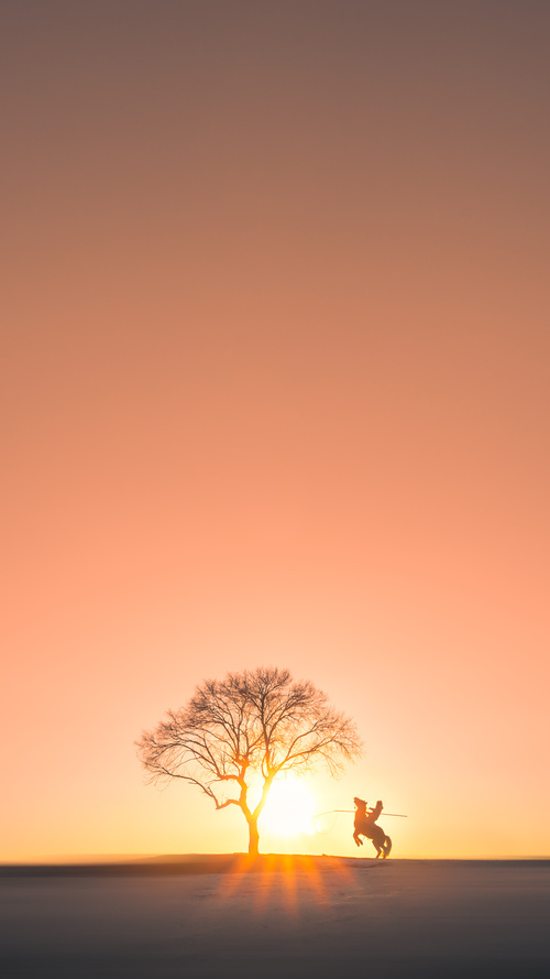 NBA联盟启动“亚裔月”活动,表彰华裔球迷贡献,nba中的亚洲人
